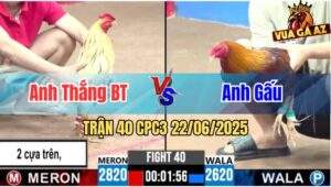 Trận 40 CPC3 22/06/2025 - Gà Điều Anh Gấu Có Pha Lật Kèo Ngoạn Mục