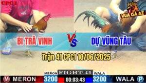 Trận 41 CPC1 10/6/2025 - Anh Bi Trà Vinh Đụng Anh Dự Vũng Tàu