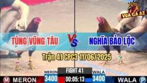 Trận 41 CPC3 11/6/2025 - Anh Tèo Thả Gà Đâm Đối Thủ Phá Đôi Bít Cửa Về