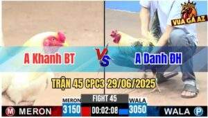 Trận 45 CPC3 29/06/2025 - Anh Khanh Bến Tre Vs Anh Danh Đức Hoà