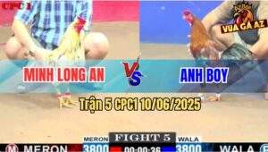 Trận 5 CPC1 10/6/2025 - Điều Bông Anh Boy Đưa Bướm Má Minh Đi Ngủ