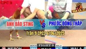 Trận 9 CPC2 6/6/2025 - Anh Bảo Sting Đụng Độ Anh Phước Đồng Tháp