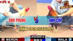 Trận 1 CPC2 25/7/2025 - Anh Phụng Khai Màn Đá Gãy Giò Gà Điều Anh Cọp