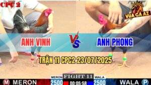 Trận 11 CPC2 23/7/2025 - Khét Anh Phong Mai Độ Có Chân Cứu Chủ