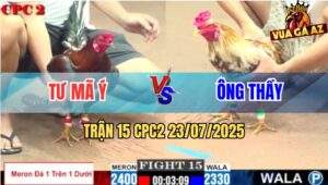 Trận 15 CPC2 23/7/2025 - Gà Anh Tư Mã Ý Đâm Bại Liệt Camelo Ông Thầy