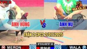 Trận 2 CPC2 2/7/2025 - Gà Anh Nu Nhỏ Mà Cáp Ngông Bị Đá Không Kịp Ngáp