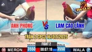 Trận 2 CPC3 16/7/2025 - Điều Chân Xanh Đâm Xám Anh Phong Đứng Hết Nỗi
