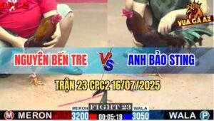 Trận 23 CPC2 16/7/2025 - Điều Cọp Bảo Sting Nhấc Chân Là Có Kết Quả