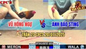 Trận 23 CPC2 20/7/2025 - Úa Hiệu Bảo Sting Kém 4 Chấm Đá Bự Kêu Miệng