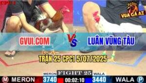 Trận 25 CPC1 5/7/2025 - Gà Xám GVUI.COM Bú 1 Phát Bướm Nằm Thẳng Cẳng