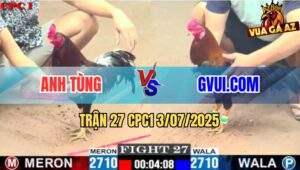 Trận 27 CPC1 3/7/2025 - Gà GVUI.COM Phục Thù Đá Gà Anh Tùng Bỏ Chạy