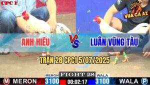 Trận 28 CPC1 5/7/2025 - Bướm Anh Hiếu Đá Bướm Anh Luân Chạy Trối Chết