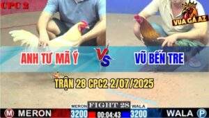 Trận 28 CPC2 2/7/2025 - Anh Tư Mã Ý Vô Đối Với 4 Trận Thắng Liên Tiếp