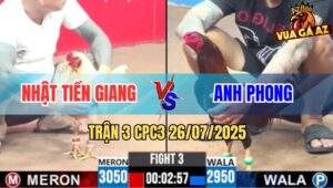 Trận 3 CPC3 26/7/2025 - Bướm Hiệu Bảo Sting Đá Mấy Chân Có Kết Quả