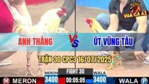 Trận 30 CPC3 16/7/2025 - Bướm Anh Thắng Đá Bướm Anh Út Chết Tươi