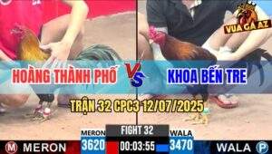 Trận 32 CPC3 12/7/2025 - Gà Que Anh Hoàng Hốt Xổ 100 Đẹp Hơn Hoa Hậu