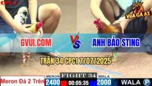 Trận 34 CPC1 7/7/2025 - Bướm GVUI Hơn 4 Chấm Vẫn Bị Anh Bảo Sting Hạ