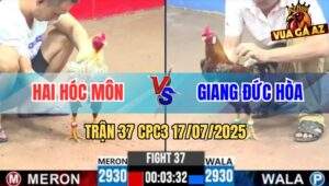 Trận 37 CPC3 17/7/2025 - Gà Cú Anh Hai Xử Điều Bông Anh Giang Nằm Đống