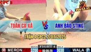 Trận 4 CPC2 2/7/2025 - Anh Bảo Sting Thất Thủ Ngay Trận Đầu Ra Quân