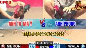 Trận 4 CPC2 23/7/2025 - Gà Que Anh Tư Mã Ý Mai Độ Đá Điều Cúp Điện
