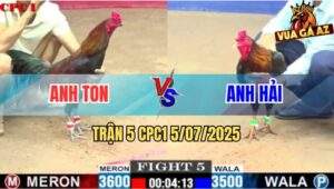 Trận 5 CPC1 5/7/2025 - Gà Điều Anh Hải Gồng Nước Khuya Quá Tốt