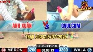 Trận 6 CPC1 5/7/2025 - GVUI.COM Và Anh Xuân Không Phân Thắng Bại