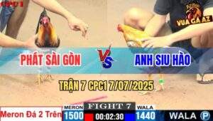 Trận 7 CPC1 7/7/2025 - Gà Cú Anh Siu Hào Đá Điều Không Trượt Phát Nào