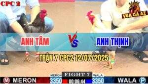 Trận 7 CPC2 11/7/2025 - Bướm Anh Thịnh Đá Xám Anh Tâm Té Cắm Đầu