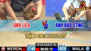 Trận 8 CPC1 7/7/2025 - Anh Bảo Sting Nhả 2 Con Lấy Lại 1 Con Đủ Tiền