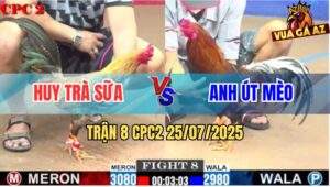 Trận 8 CPC2 25/7/2025 - Gà Cú Anh Huy Trà Sữa Hạ Điều Chỉ 1 Tay Nước