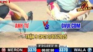 Trận 9 CPC1 3/7/2025 - Bướm Hiệu GVUI.COM Hạ Sát Điều Cọp Anh Tư