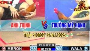 Trận 9 CPC2 11/7/2025 - Gà Anh Trường Nhẹ Ký Đá Phát Nào Thấm Phát Đó