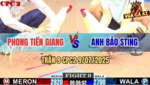 Trận 9 CPC2 9/7/2025 - Úa Hiệu Bảo Sting Nuốt Ói Kết Liễu Gà Bướm