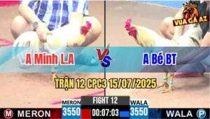 Trận 12 CPC3 15/07/2025 - Anh Minh Long An Vs Anh Bé Bến Tre