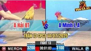 Trận 13 CPC3 14/07/2025 - Anh Hải Bến Tre Vs Anh Minh Long An