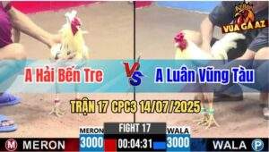 Trận 17 CPC3 14/07/2025 - Anh Hải Bến Tre Vs Anh Luân Vũng Tàu