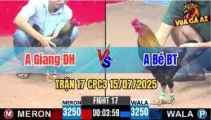 Trận 17 CPC3 15/07/2025 - Anh Giang Đức Hòa Vs Anh Bé Bến Tre