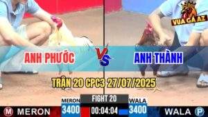 Trận 20 CPC3 27/7/2025 - Gà Anh Thành Đá Chân Chí Mạng Lụm Xổ Đối Thủ