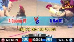 Trận 22 CPC3 14/07/2025 - Anh Quang Vũng Tàu Vs Anh Hải Bến Tre
