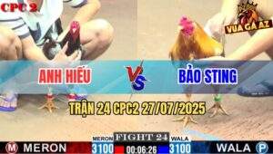 Trận 24 CPC2 27/7/2025 - Gà Camelo Bảo Sting Đá Bo Như Xe Đụng