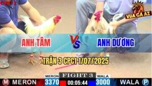 Trận 3 CPC1 1/7/2025 - Gà Anh Dương Chấp Quá Ngông Nhân Về Kết Đắng
