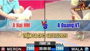 Trận 34 CPC3 14/07/2025 - Anh Hai Hóc Môn Vs Anh Quang Vũng Tàu