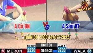 Trận 38 CPC3 14/07/2025 - Gà Anh Sáu Vũng Tàu Có Pha Lội Ngược Dòng