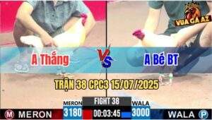 Trận 38 CPC3 15/07/2025 - Anh Thắng Vs Anh Bé Bến Tre