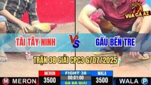 Trận 38 Giải CPC3 6/7/2025 - Tài Tây Ninh Vs Gấu Bến Tre