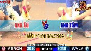 Trận 6 CPC1 1/7/2025 - Anh Gà Bướm Anh Tâm Có Chân Cúp Điện Cứu Chủ