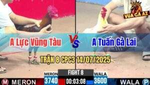 Trận 8 CPC3 14/07/2025 - Gà Anh Lực Vũng Tàu Bươi Chà Như Cái Máy