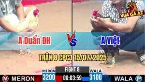 Trận 8 CPC3 15/07/2025 - Gà Cổ Lôi Của Anh Việt Bươi Chà Quá Kinh