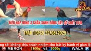 Trận 1 CPC5 22/8/2025 - Điều Sút 3 Chân Xanh Bông Gãy Cổ Nhanh Gọn Lẹ