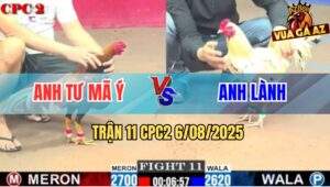 TRAN 11 CPC2 6082025